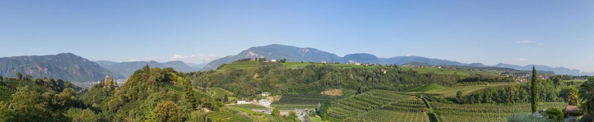 Hotel Weinberg Appiano Sulla Strada Del Vino Esterno foto