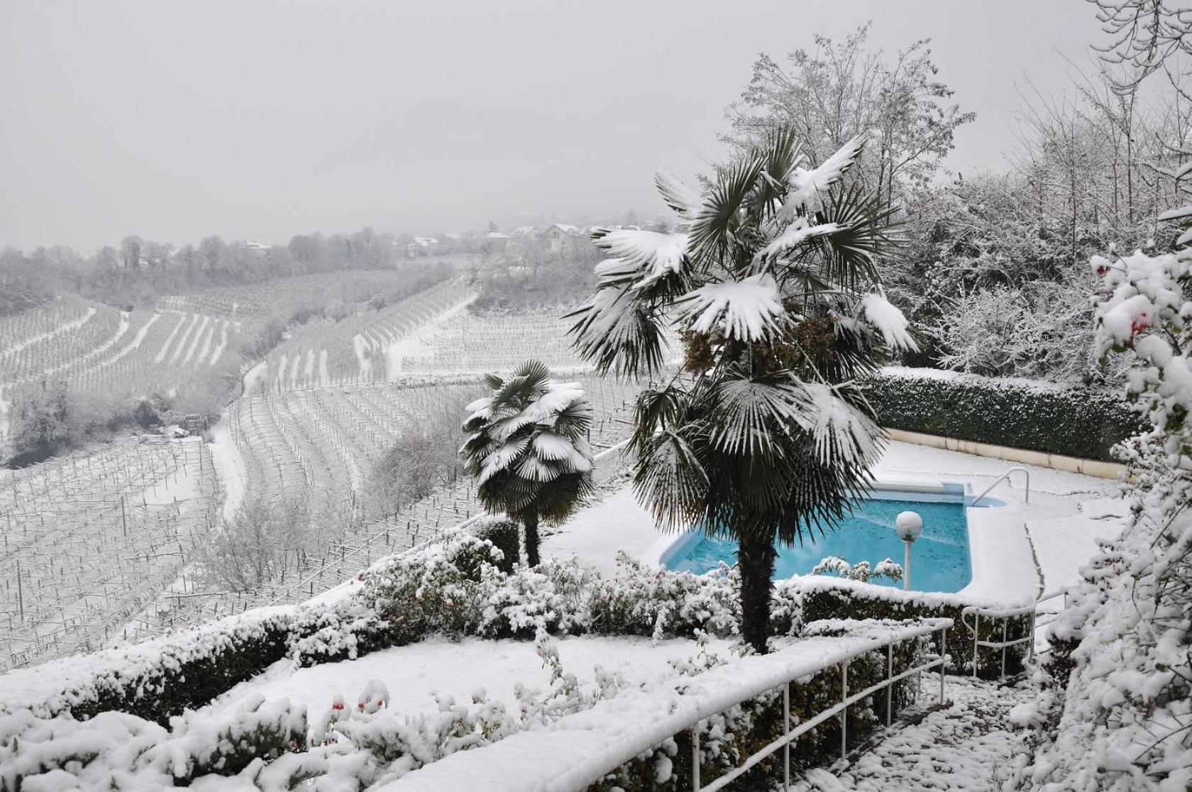 Hotel Weinberg Appiano Sulla Strada Del Vino Esterno foto